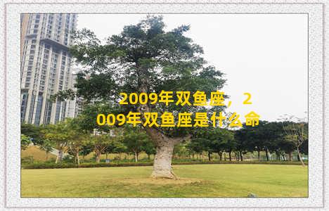 2009年双鱼座，2009年双鱼座是什么命