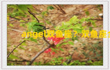 angel双鱼座？双鱼座全解