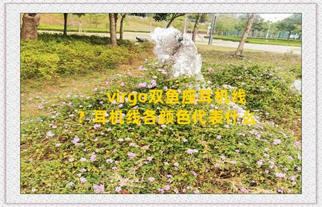 virgo双鱼座耳机线？耳机线各颜色代表什么