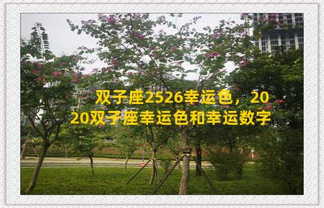 双子座2526幸运色，2020双子座幸运色和幸运数字