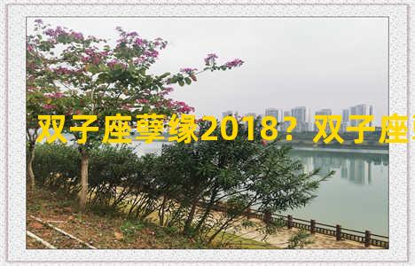 双子座孽缘2018？双子座孽缘星座