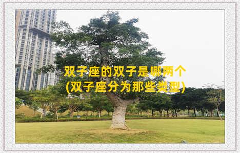 双子座的双子是哪两个(双子座分为那些类型)