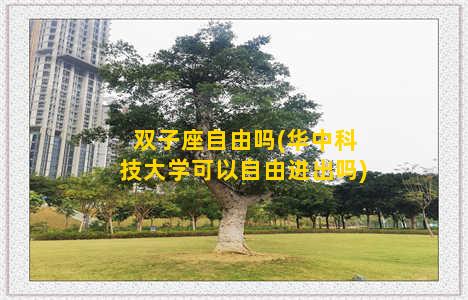 双子座自由吗(华中科技大学可以自由进出吗)