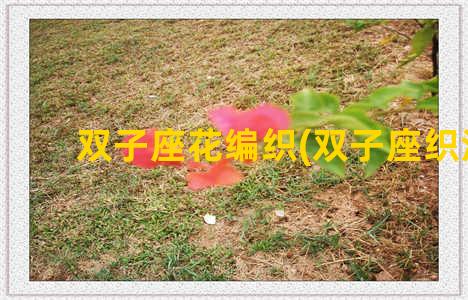 双子座花编织(双子座织法)