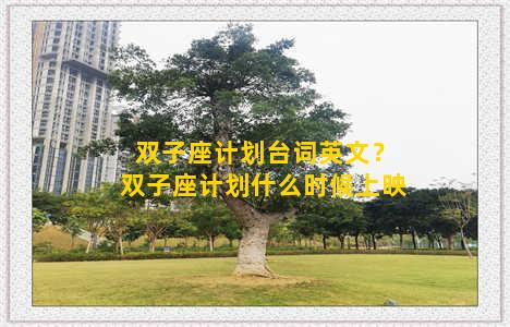 双子座计划台词英文？双子座计划什么时候上映