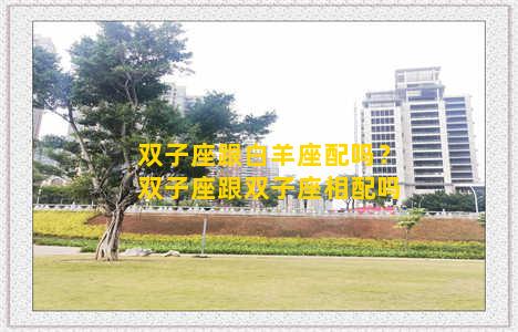 双子座跟白羊座配吗？双子座跟双子座相配吗