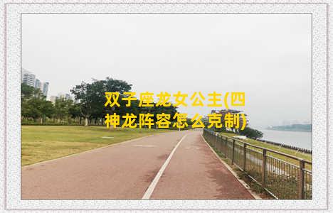 双子座龙女公主(四神龙阵容怎么克制)