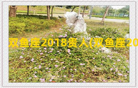 双鱼座2018贵人(双鱼座2020年的贵人)