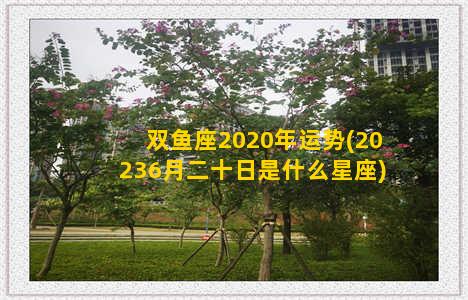 双鱼座2020年运势(20236月二十日是什么星座)