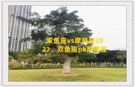 双鱼座vs摩羯座2022，双鱼座pk摩羯座