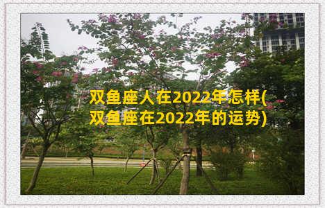 双鱼座人在2022年怎样(双鱼座在2022年的运势)