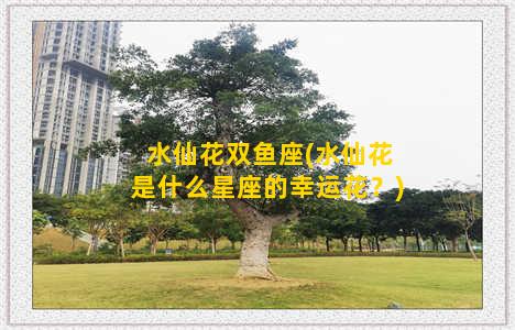 水仙花双鱼座(水仙花是什么星座的幸运花？)