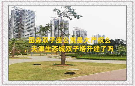 田森双子座公寓是大产权么，天津生态城双子塔开建了吗